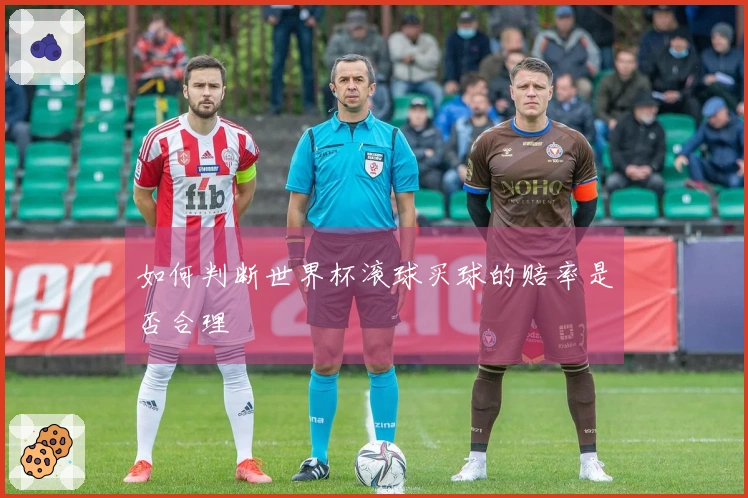 如何判断世界杯滚球买球的赔率是否合理