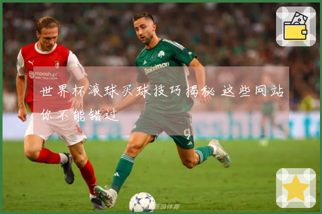 世界杯滚球买球技巧揭秘 这些网站你不能错过